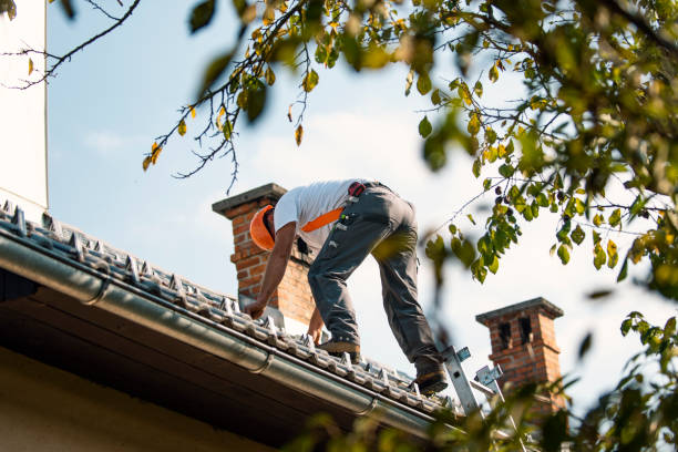 Best Residential Roof Replacement  in Amory, MS